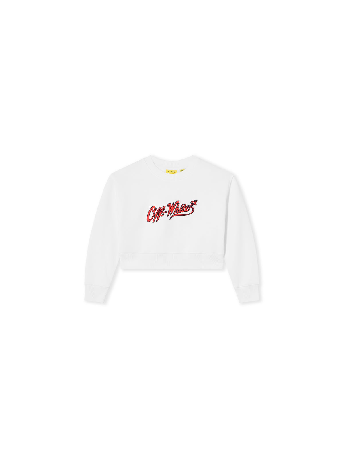 Vintage Logo Boxy Crewneck Sweatshirt