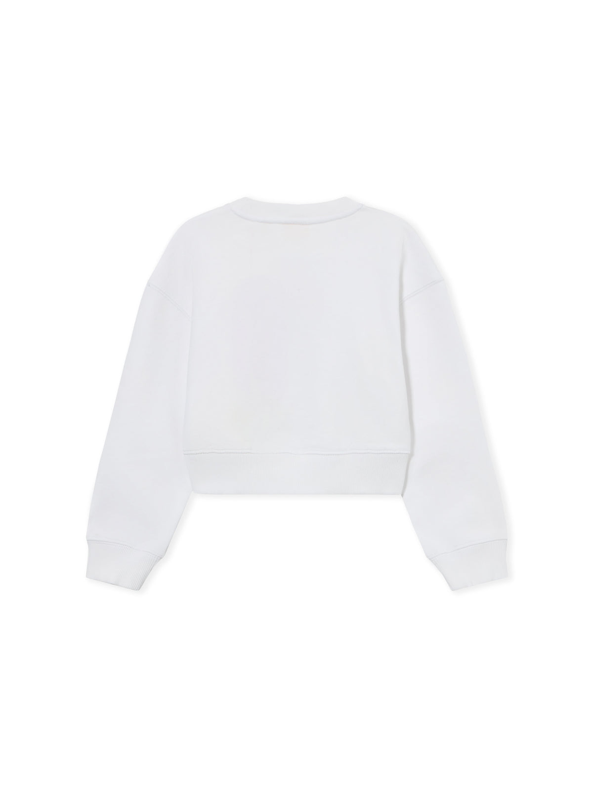 OFF WHITE Daisy Logo Box Sweatshirt WHITE 44GBA013S26F001