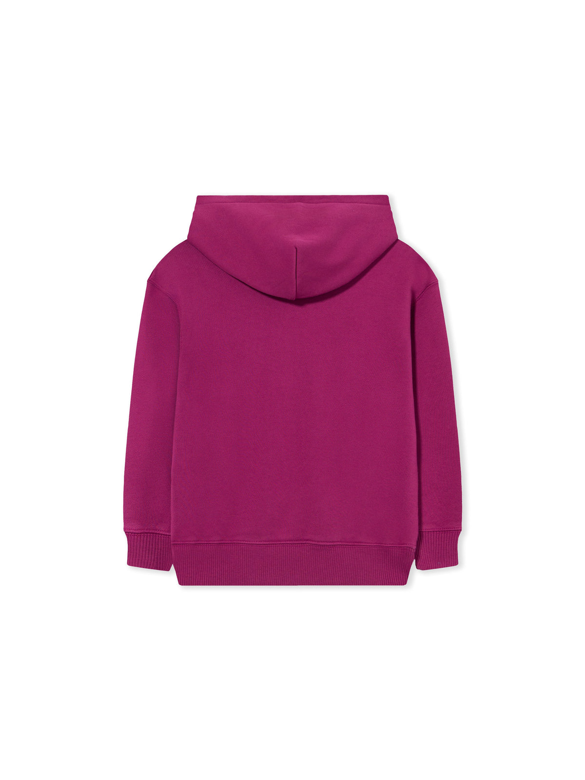 Big Bookish Watercolor Hoodie