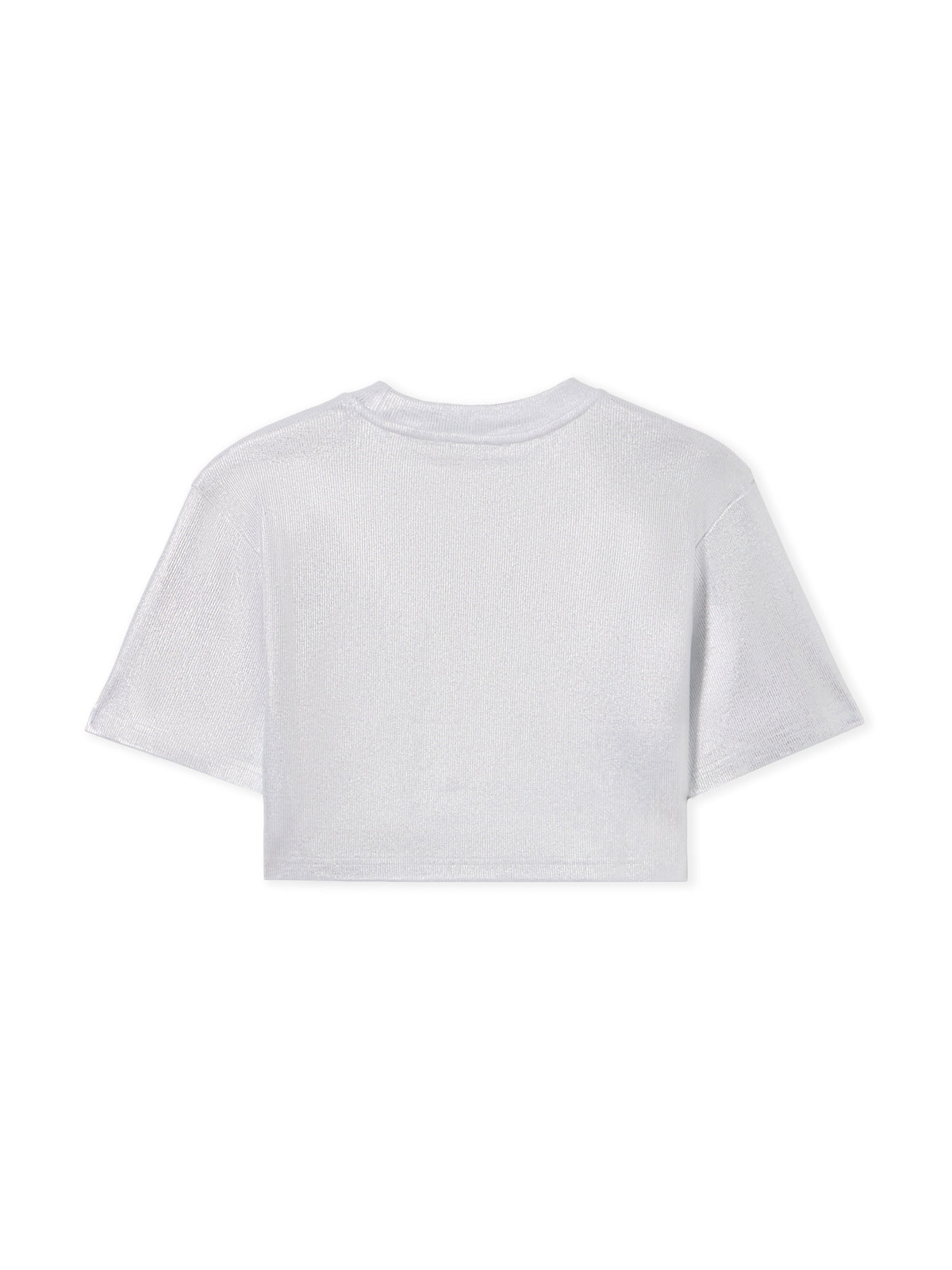 OFF WHITE Off Coated Rib Crop T-Shirt SILVER - WHITE OWAA081S25JER001